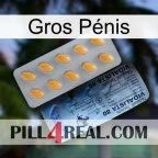 Gros Pénis 44